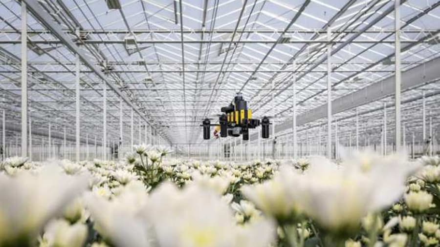 Drones 'Abeja' Revolucionan la Agricultura de Precisión con Navegación Bioinspirada