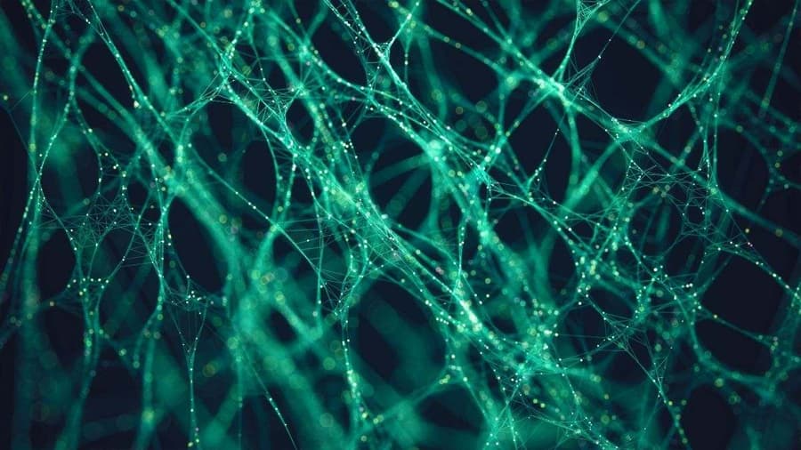 Avance Prometedor: Molécula OLE 'Reprograma' Defensas Cerebrales para Combatir el Alzheimer