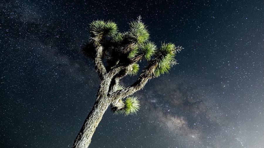 Eritrulosa: El Azúcar Quiral Descubierto en el Espacio que Impulsa la Búsqueda de Vida
