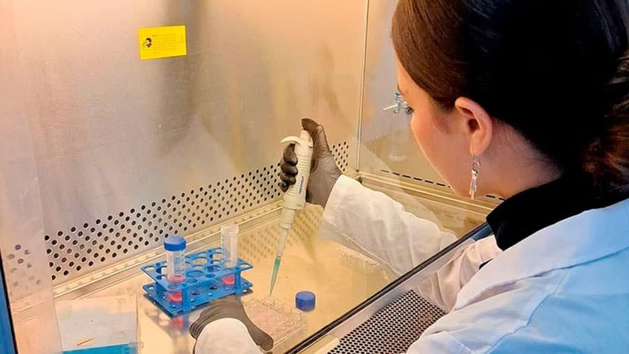 Científicos argentinos desarrollan un test de sangre innovador para detectar trastornos del neurodesarrollo