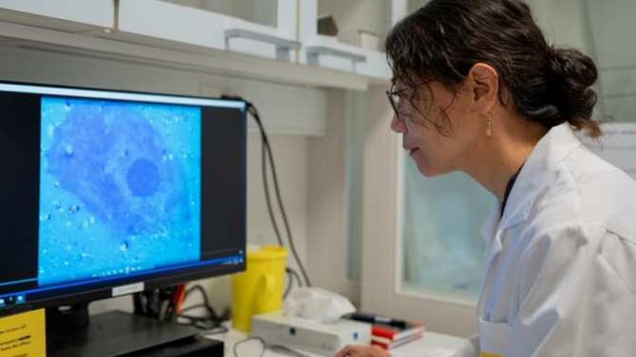 Nanopartículas innovadoras devuelven la reacción a la luz en retinas ciegas: Un paso hacia nuevas terapias visuales