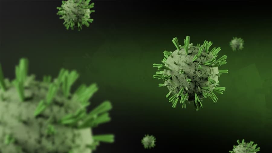 Bacteriófagos: La Nueva Frontera en la Lucha contra las Bacterias Superresistentes