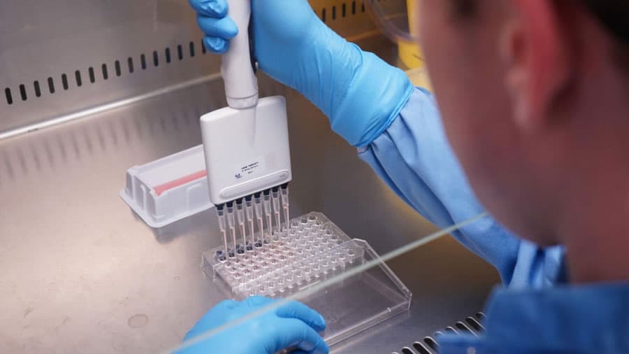 Avance Prometedor: Granada Elimina hasta el 97% del VIH en Células de Laboratorio con 'Tijeras Moleculares'